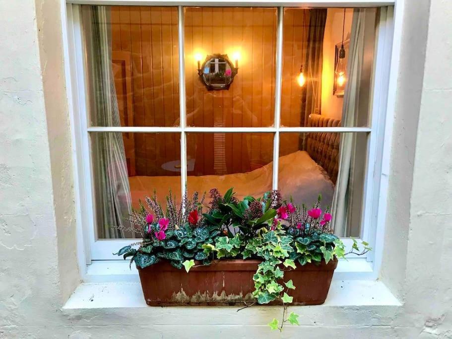 Beachfront With Wood Burner & Courtyard St Leonards-on-Sea